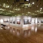 Barrick Natural History Museum UNLV Las Vegas