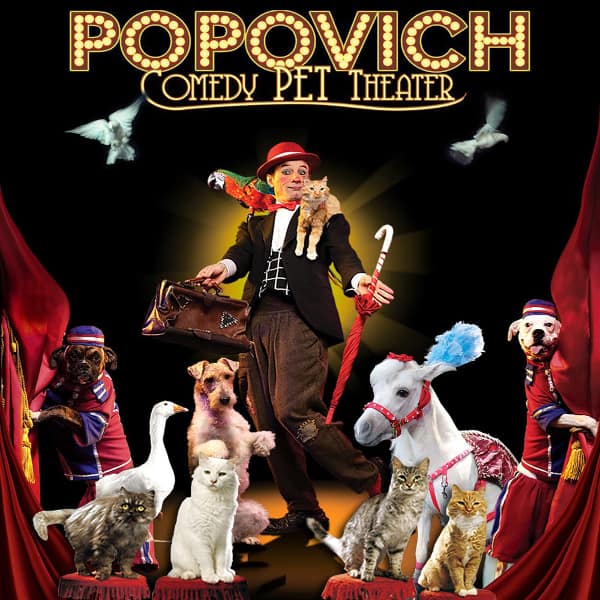Popovich Comedy Pet Theater Discount Coupon Las Vegas