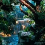 Tropical Rain Forest Mirage Hotel Las Vegas