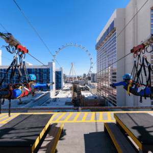 Fly LINQ Zipline