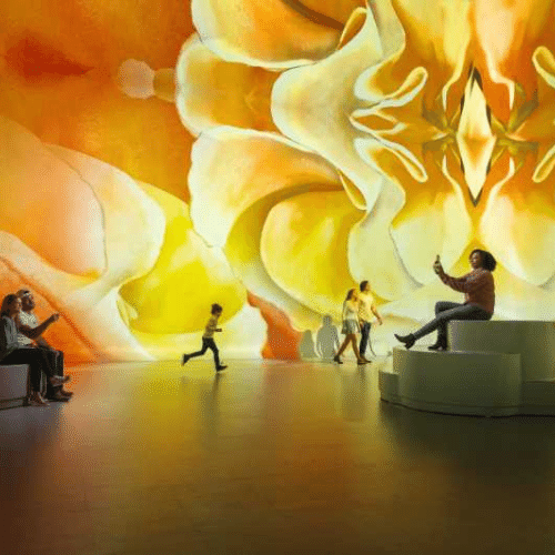 illuminarium