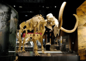 Nevada State Museum and Historical Society