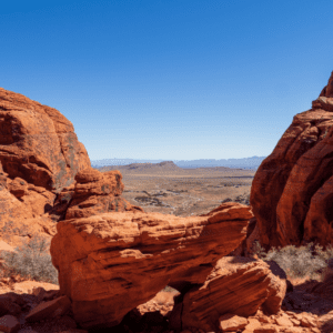 Calico Basin Red Springs at Red Rock Canyon