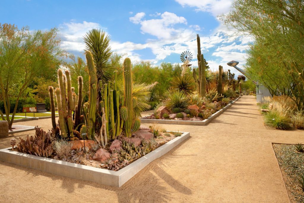 Springs Preserve in Las Vegas