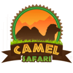 Camel Safari