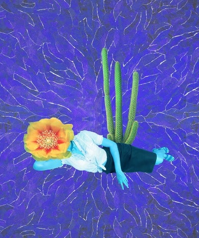 Desert-Flower-Power-Clark-County-Rotunda_Gallery-Las-Vegas