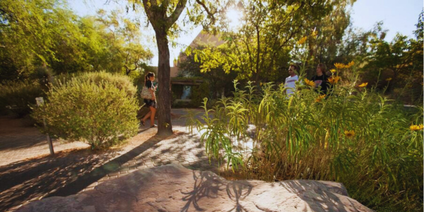 UNLV Desert Xeriscape Garden