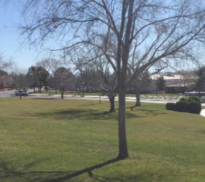 Wilbur Square Park Boulder City Nevada