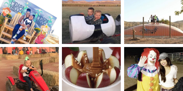 MOAPA VALLEY CORNMAZE