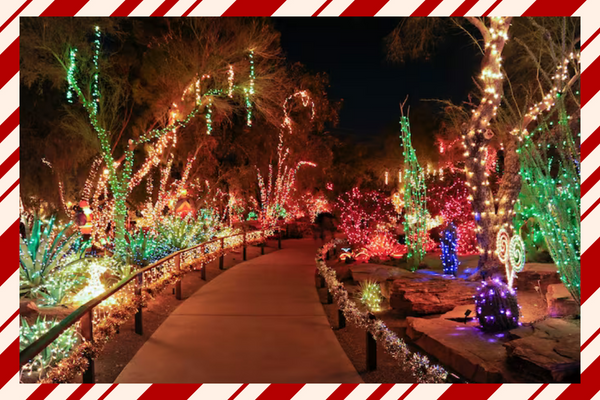 ETHEL M HOLIDAY CACTUS GARDEN LAS VEGAS