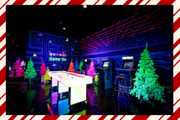 shaqs fantasy lab a chistmas dream