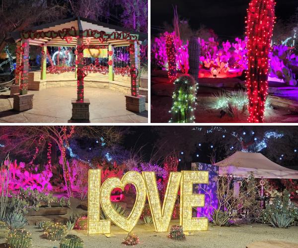 ehel m lights of love valentines day las vegas affairs