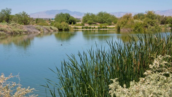A view of a wetland lake at the Henderson Bird Viewing Preserve