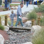 Desert Demonstration Garden – Acacia Park