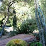 UNLV Desert Xeriscape Garden – UNLV campus